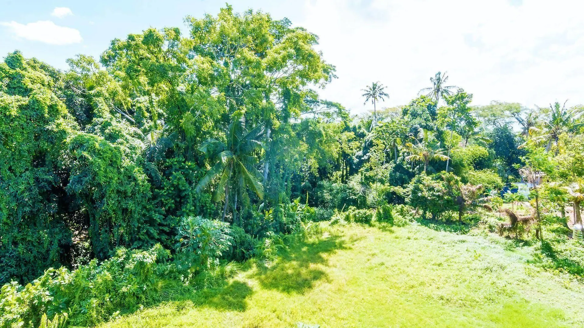 Zen Premium Ubud Hanoman II Ubud (Bali)